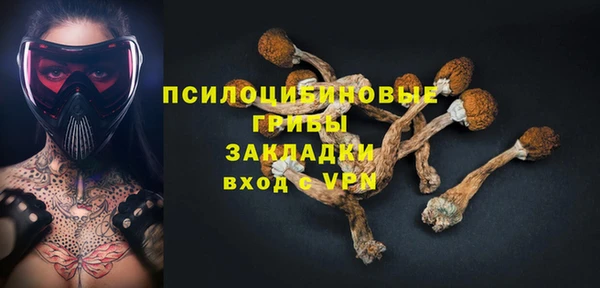 хмурый Новозыбков