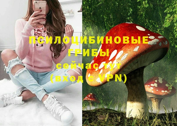 a pvp Новокубанск