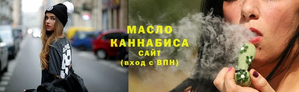 хмурый Новозыбков