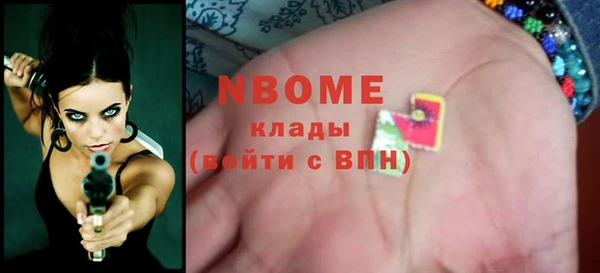 хмурый Новозыбков