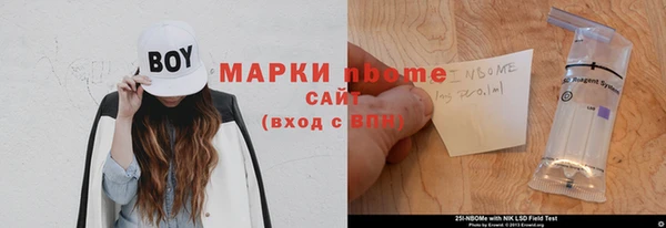 хмурый Новозыбков