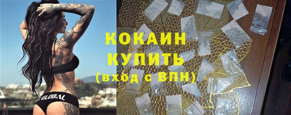 мдма Новодвинск