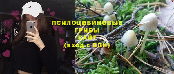 a pvp Новокубанск