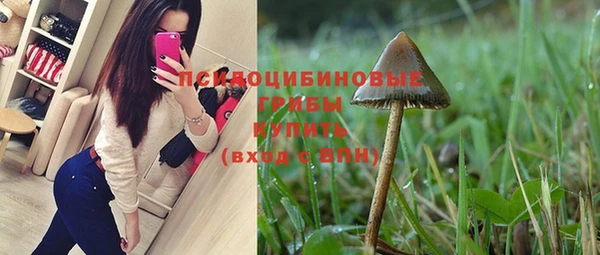 хмурый Новозыбков
