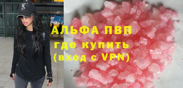 хмурый Новозыбков