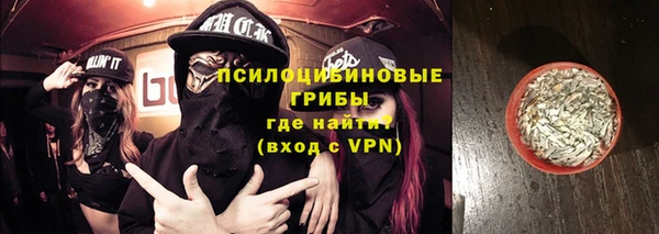 хмурый Новозыбков